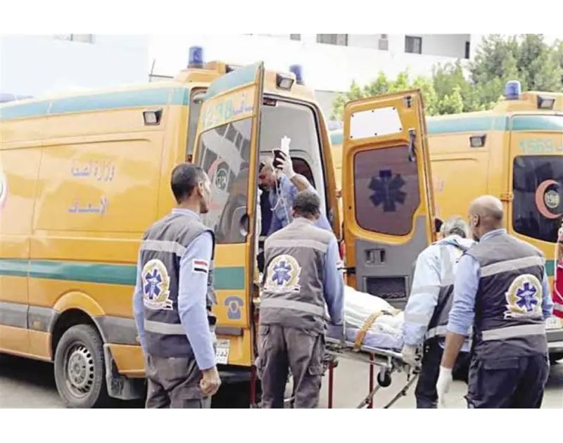 إصابة 6 أشخاص في انقلاب سيارة ثلاجة في أسوان اصيب 6 أشخاص في حادث إنقلاب سيارة ثلاجة على طريق أسوان الصحراوي الغربي. تلقي مرفق إسعاف أسوان إخطارا من شرطة النجدة بوقوع حادث إنقلاب س