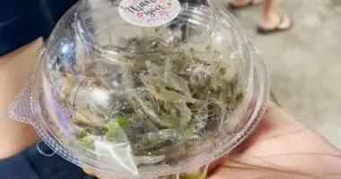 الجمبري الراقص أشهر أكلة في تايلاند.. يقفز من الأطباق حيا المرأة والمنوعات يعتبر طبق ، أو الجمبرى الراقص، من الأطعمة التايلاندية الشعبية التى يتم إعدادها فى الشوارع باستخدام الجمبر
