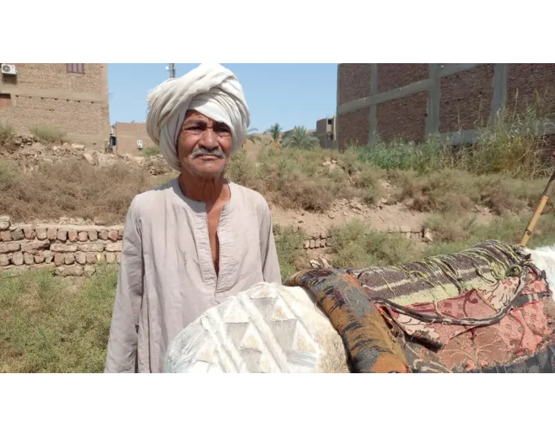 الشعر لفك السحر وقرشين لعم خير.. قصة أشهر مزين حمير في قنا بحمار زين برسومات وخطوط محددة بدقة تتشابه مع تلك التي رسمها الزمن على وجهه، يطوف خير عبد السميع، قصاص الحمير، شوارع مدينة