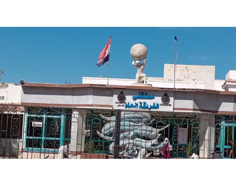 جهات التحقيق تبدأ سماع أقوال الناجين من غرق غواصة الغردقة وصل فريق من جهات التحقيق بمدينة الغردقة، منذ قليل، إلى مستشفى الغردقة العام؛ لبدء التحقيقات في واقعة غرق غواصة سياحية قبل