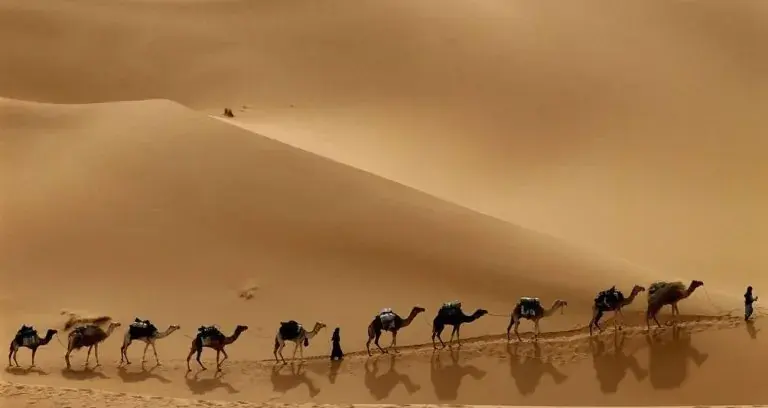 لماذا نحتفل بالسنة الهجرية في المحرم رغم أن الهجرة في ربيع الأول؟ يعتقد كثيرون أن بداية السنة الهجرية توافق ذكرى هجرة النبي محمد صلى الله عليه وآله وسلم إلى المدينة المنورة، غير أن