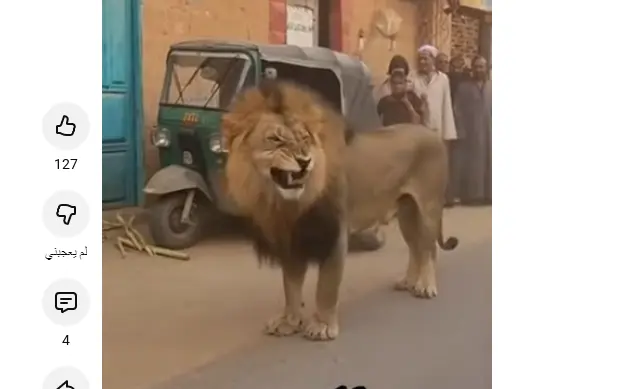 لو الخبر ده هزار يبقي لازم إجراء رادع: اسد في اسيوط