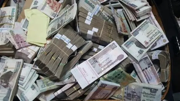 كشف مخطط غسل أموال بـ110 ملايين جنيه في محافظة القليوبية