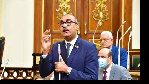 نائب يطالب بتثبيت عاملي مراكز الشباب وتحسين أجورهم لضمان الاستقرار