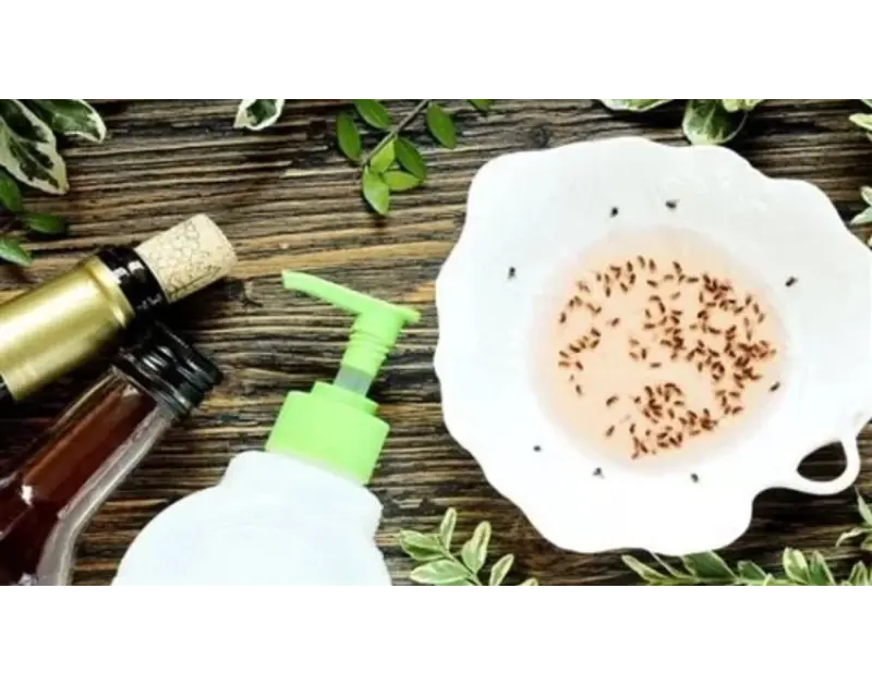 بعد زيادته مؤخرًا. 5 طرق سحرية للتخلص من الذباب نهائيًا