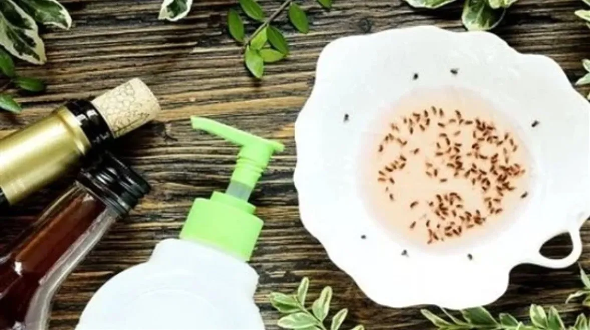 بعد زيادته مؤخرًا. 5 طرق سحرية للتخلص من الذباب نهائيًا