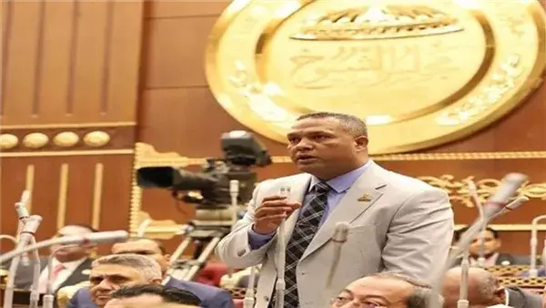 نائب بالشيوخ: ذكرى تحرير سيناء رمز للفخر الوطني وتجسيد لقوة الدولة