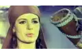 من الرسالة لهجرة الرسول.. أفلام دينية تناولت دعوة النبى فى ذكرى مولده