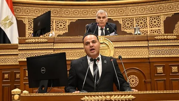 "نائب بالشيوخ" يطالب بمراجعة نتائج بعثة مصر في الأولمبياد والاستعداد المبكر لـ2028