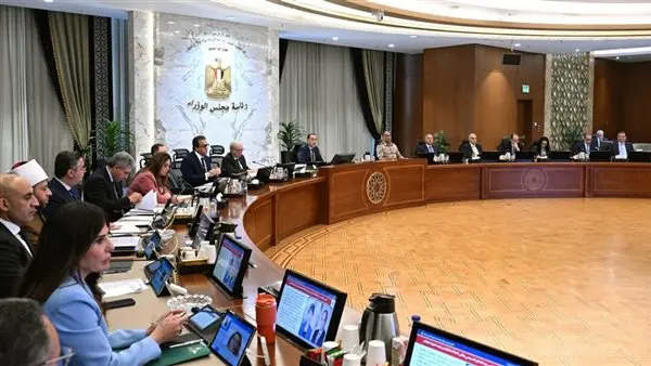 تحرك حكومي قوي لدعم الشركات الناشئة.. نائب رئيس الوزراء يقود ملف ريادة الأعمال بخطة جديدة