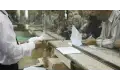 موعد صرف معاشات مايو 2026. هل تشمل الزيادة الجديدة؟