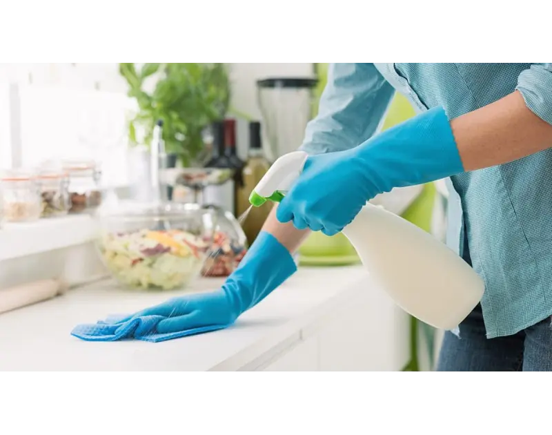 4 طرق للتخلص من الذباب في المنزل بمواد طبيعية