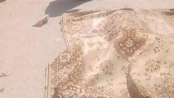 مصرع سيدها دهستها سيارة وهى فى طريقها لاصطحاب نجلها من المدرسة بامبابة