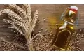 رئيس الوزراء يُتابع مستجدات مشروع إنشاء مركز عالمي لتخزين وتوريد وتجارة الحبوب والزيوت
