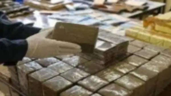 الأردن. إحباط 3 محاولات لتهريب مواد المخدرة بواسطة بالونات موجهة إلكترونيا