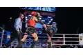 نهائي بطولة الجمهورية للفنون القتالية المختلطة MMA غداً