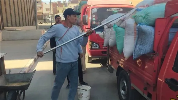 محافظ الدقهلية: توريد 3353 طن قمح لمواقع التخزين والصوامع على مستوى المحافظة
