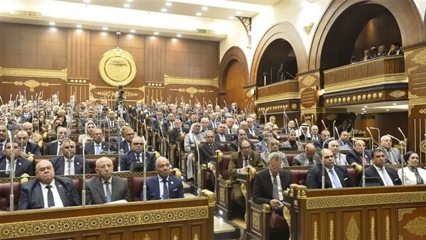 مجلس الشيوخ يناقش تقييم الأولمبياد وتطوير مراكز الشباب ومواجهة المراهنات