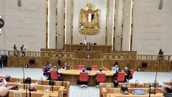 النائب وليد خطاب: مكونات السيارات الكهربائية محليًا يعزز قوة الصناعة المصرية