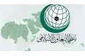 «التعاون الإسلامي» تدين اعتداء الاحتلال الإسرائيلي على أسطول الصمود