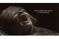 بعد شهر ونصف من طرحه..فيلم Lee Cronin’s The Mummy يحقق 89 مليون دولار