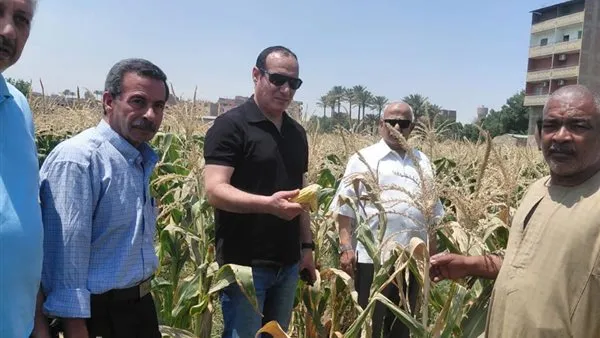"الزراعة" تتابع المحاصيل الصيفية وصرف الأسمدة وغرفة عمليات الجيزة