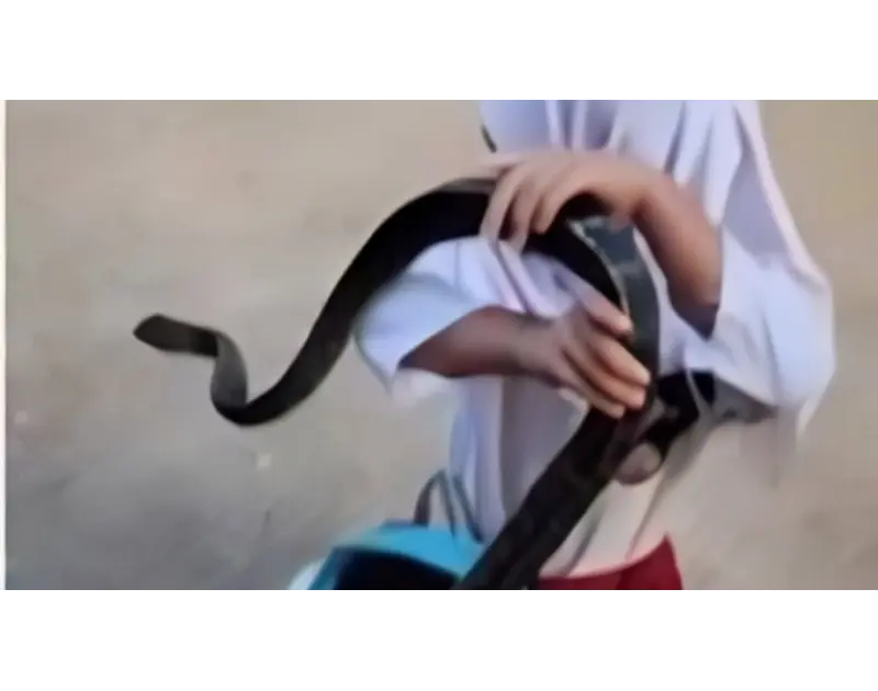 طفلة تفاجئ والدها بثعبان داخل حقيبتها المدرسية كأنه حيوانها الأليف (فيديو)