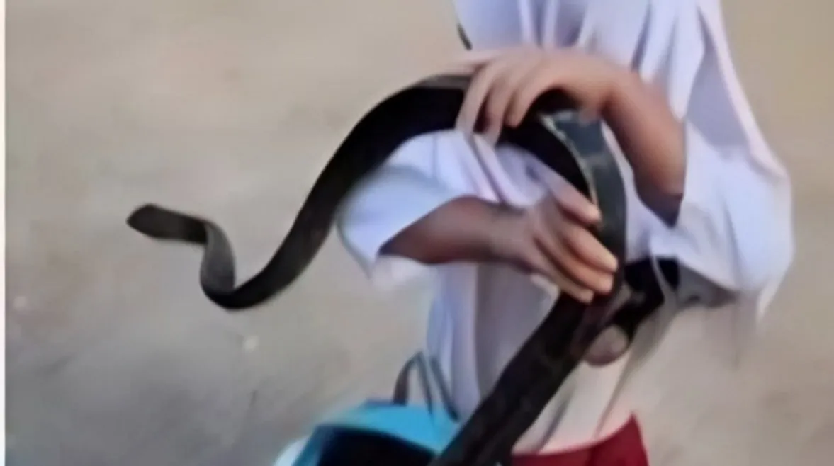 طفلة تفاجئ والدها بثعبان داخل حقيبتها المدرسية كأنه حيوانها الأليف (فيديو)