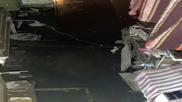المنصورة تستغيث: سوق السمك يغرق في “مستنقع” من الإهمال