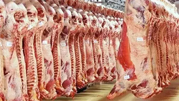 حظر وغرامات للمخالفين.. ضوابط الذبح الأضاحي في عيد الأضحى