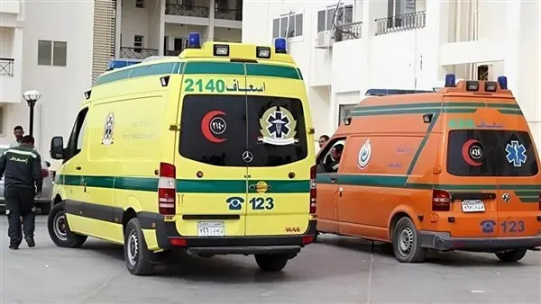 إصابة 6 أشخاص في انقلاب سيارة بالحي الخامس بالمنيا الجديدة