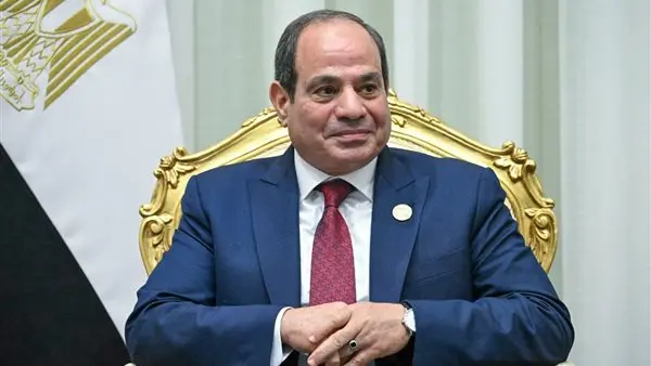 نائب بالشيوخ: لقاء الرئيس السيسي وOECD يعزز الثقة في الاقتصاد المصري