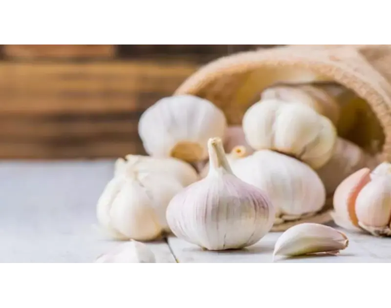 هل الثوم يطرد الذباب؟. دراسة تجيب