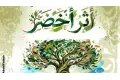 كواليس مبادرة «أثر أخضر».. حينما تتقاطع أجندات الثقافة مع صفقات الحفاظ على البيئة