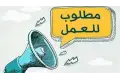 كواليس طوفان الوظائف في وزارة العمل: 350 فرصة لسائقي الدرجة الأولى وخفايا الأجور
