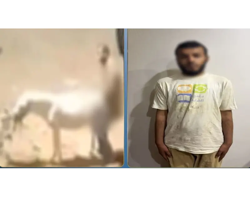 ظاهرة "التريند" المسموم وتزييف الحقائق.. تحليل لواقعة القليوبية والسويس