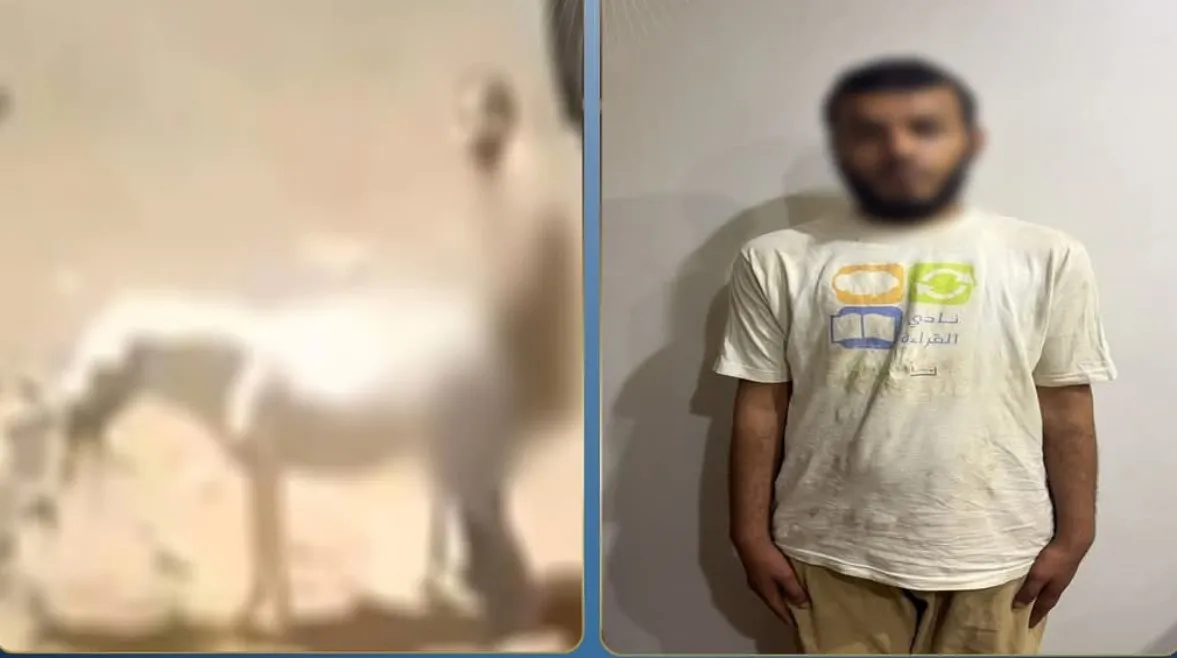 ظاهرة "التريند" المسموم وتزييف الحقائق.. تحليل لواقعة القليوبية والسويس