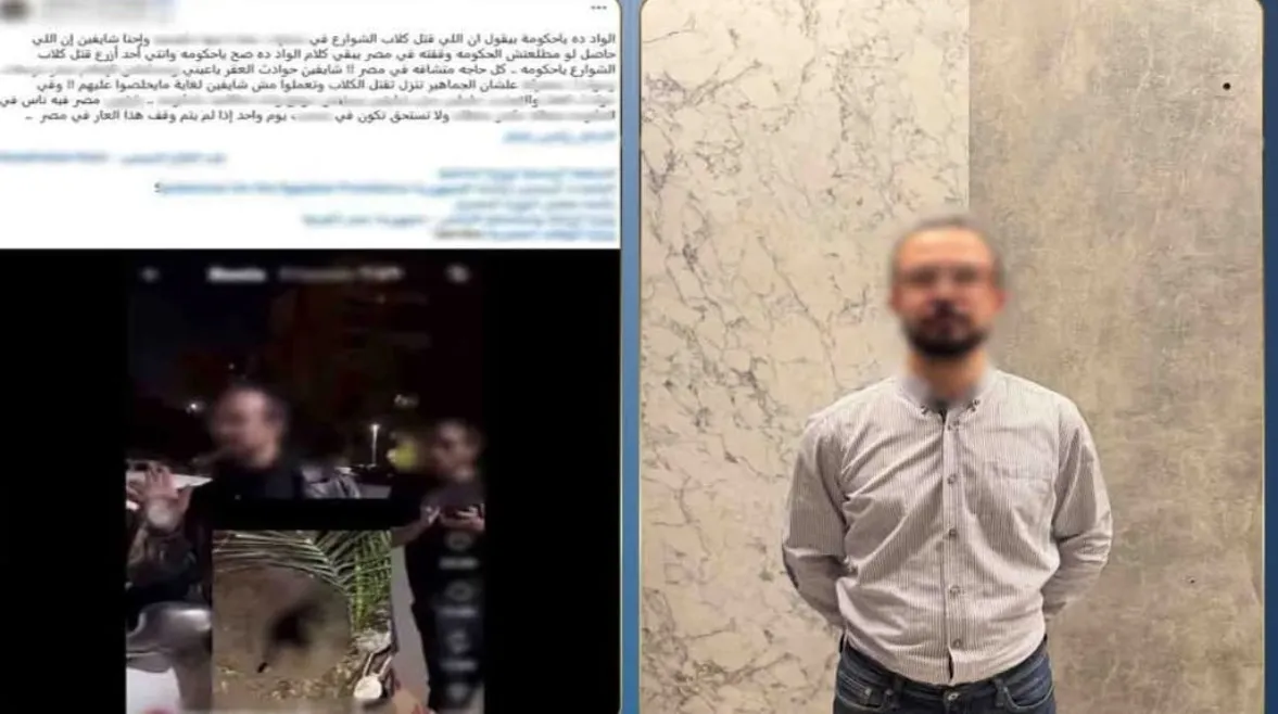 القبض على مدير شركة بسبب تخدير ونقل كلاب ضالة في مدينة نصر