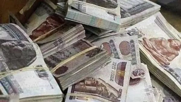 ميزانية البيت في زمن الغلاء: هل الـ 20 ألف جنيه هي المعادلة السحرية للاستقرار؟