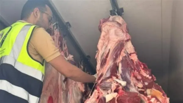 «الزراعة»: اللون والرائحة والملمس أبرز مؤشرات صلاحية اللحوم.. والأختام المزورة تُكشف بسهولة