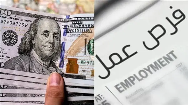 فرص عمل زراعية في الخارج: كل اللي محتاج تعرفه عشان تقدم صح