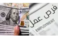 فرص عمل زراعية في الخارج: كل اللي محتاج تعرفه عشان تقدم صح