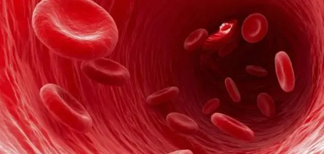 شراكة "نوريكس" و"روش" العالمية بـ 700 مليون دولار لعلاج سرطانات الدم