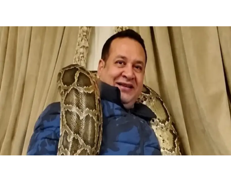 مشاجرة معرض السيارات.. هل هي بداية النهاية لإمبراطورية صبري نخنوخ