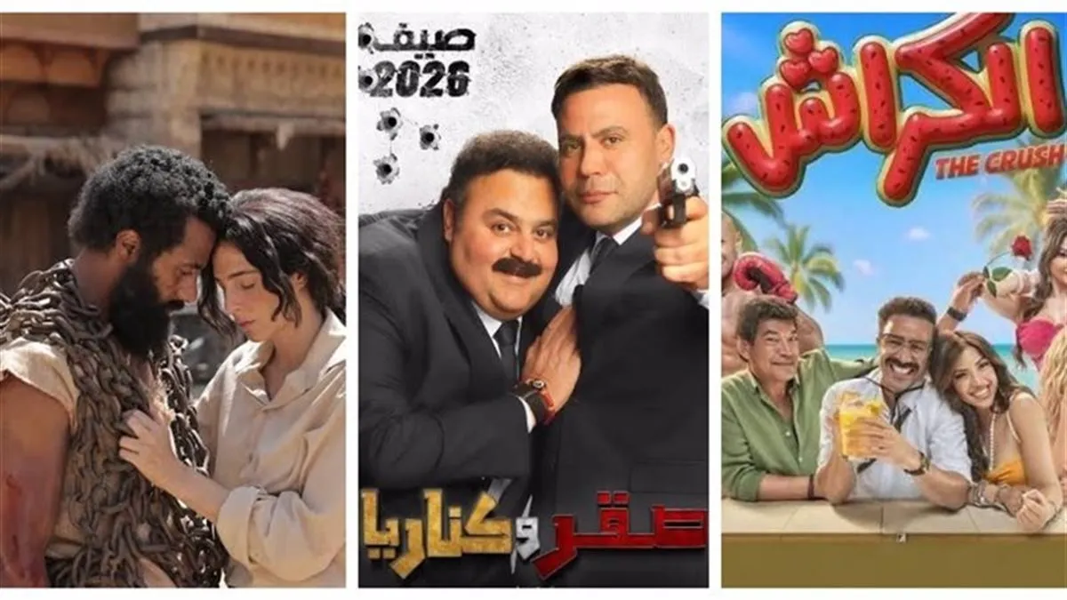 صراع الشباك في صيف 2026.. صقر وكناريا يكتسح والأسد في مهب الريح