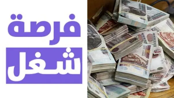 تحليل لنشرات توظيف وزارة العمل: بين حبر الورق وواقع سوق الشغل