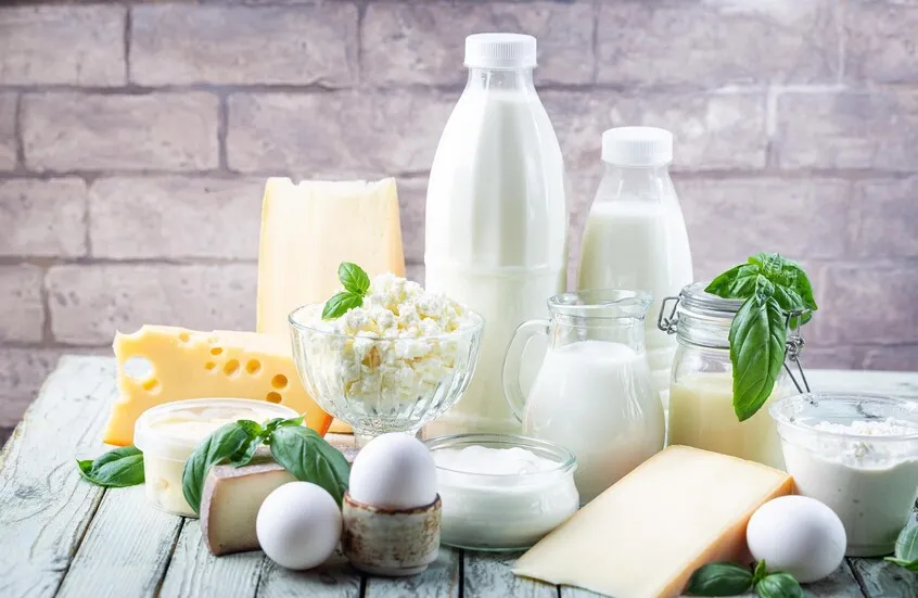 دراسة كندية حديثة: منتجات الألبان كاملة الدسم آمنة ومفيدة باعتدال