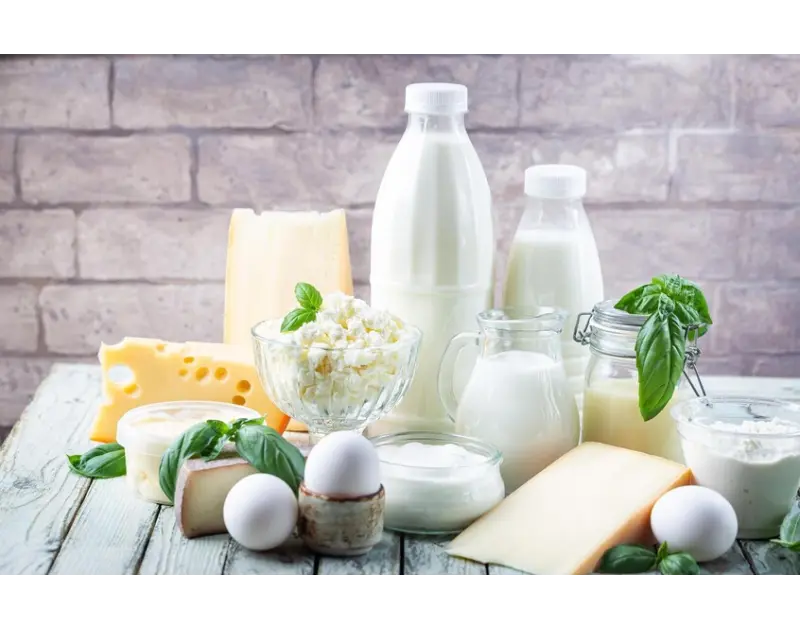 دراسة كندية حديثة: منتجات الألبان كاملة الدسم آمنة ومفيدة باعتدال
