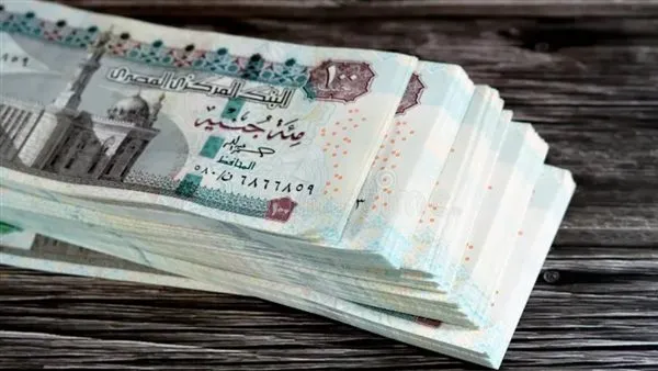 تفاصيل تطبيق قانون العلاوات الجديد ومنحة القطاع العام بحد أدنى 8000 جنيه