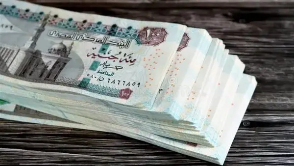 تفاصيل تطبيق قانون العلاوات الجديد ومنحة القطاع العام بحد أدنى 8000 جنيه